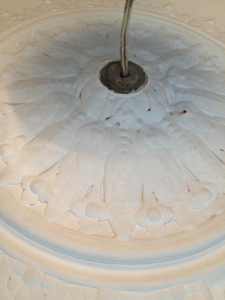 PLaster Ceiling Rose Restoration